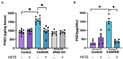 Low Salt Delivery Triggers Autocrine Release of Prostaglandin E2 From the Aldosterone-Sensitive Distal Nephron in Familial Hyperkalemic Hypertension Mice